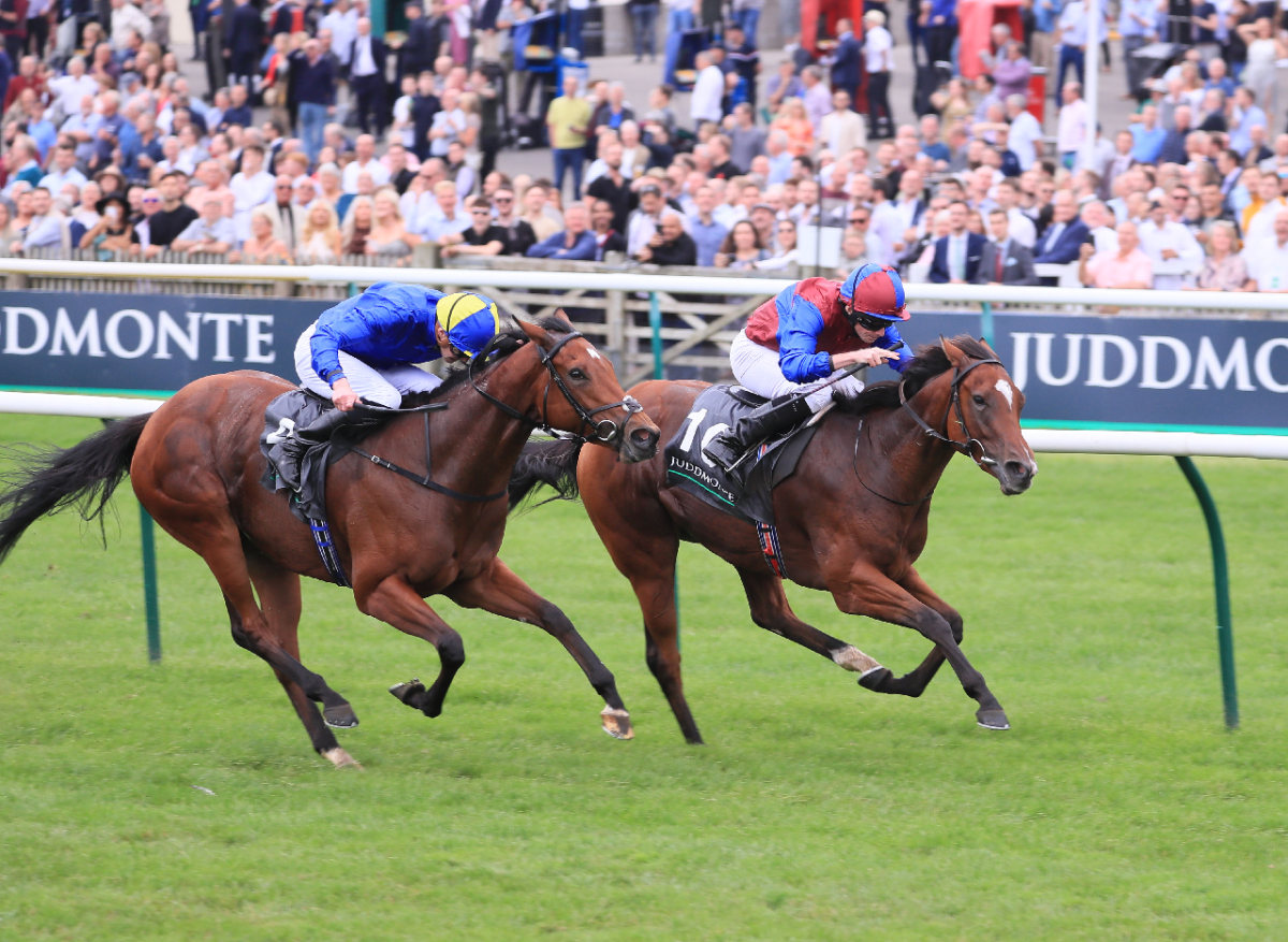 Newmarket Racecourse